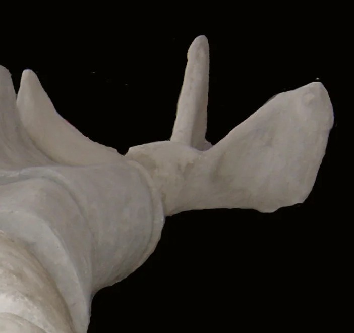 Baakse Beek Kunstwerk Lynke van den Eertwegh